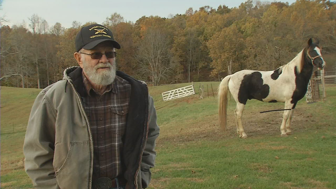 Etown Horse 4